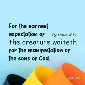 Meet your Posher, Chanel